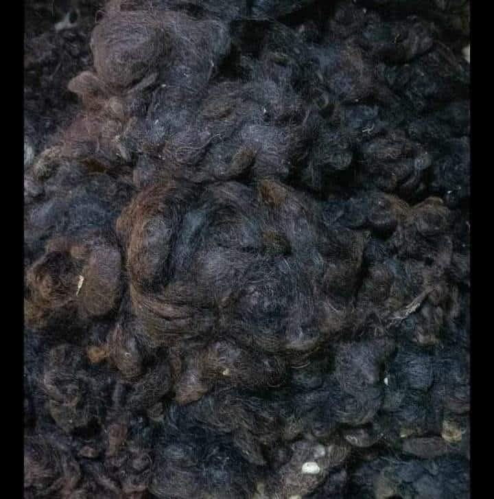 kanghi wale baal